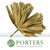 Palm 'Raphis' Leaves (Painted) (Various Colours) (52cm) (x10)