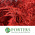 Fern 'Asparagus' (Painted/Glitter) 85cm (Various Colours) (x50)