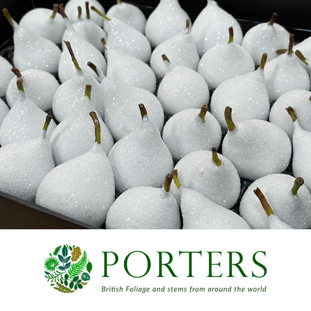 Waxed 'Pears' (Various Colours) 'With and Without Glitter' (x39)