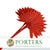 Palm 'Fan Palm' (Painted) (DRY) (Various Colours) (x5) 45-55cm