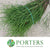 Bog Myrtle (Natural) (Various Sizes)