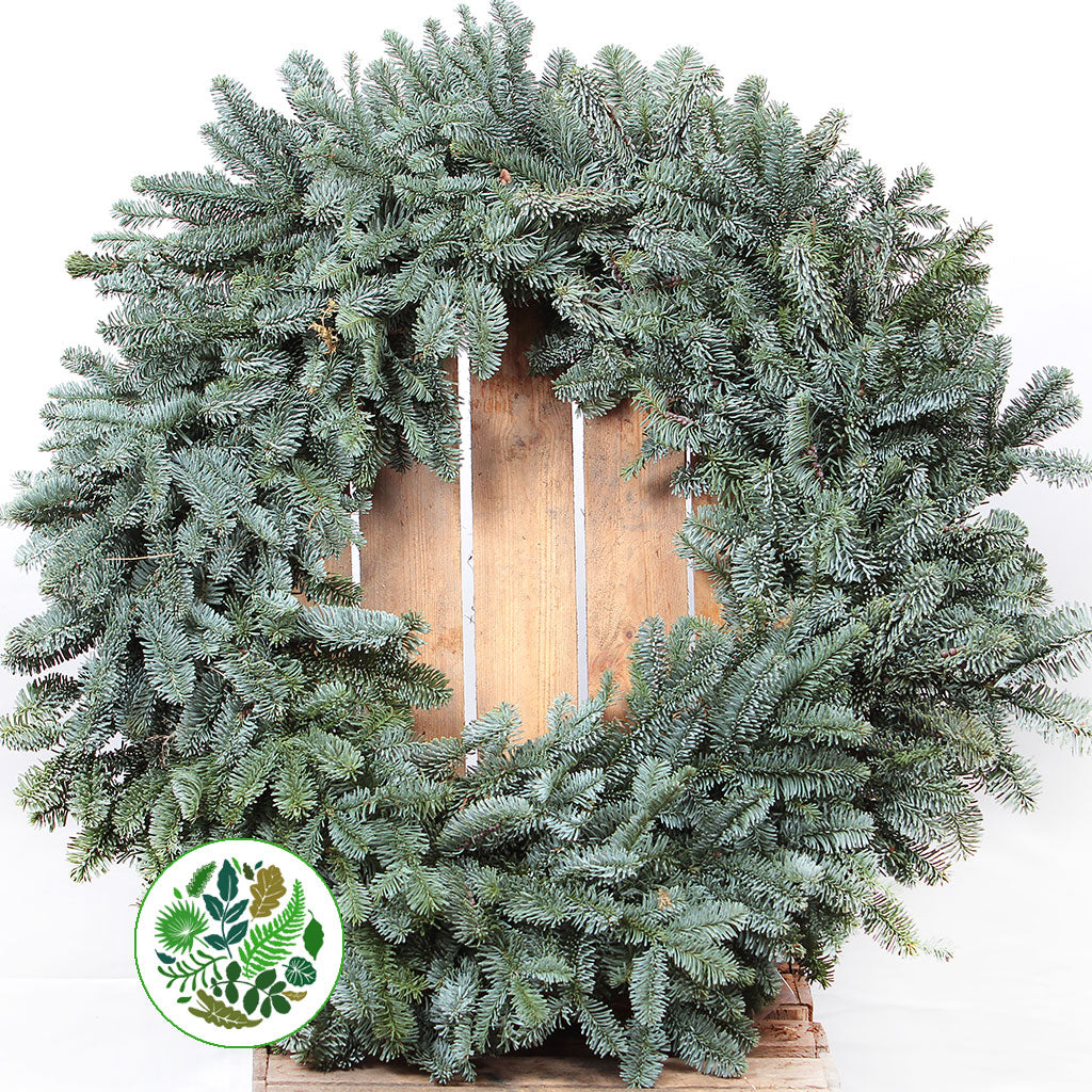 &#39;Blue Pine&#39; Wreaths (Various Sizes) (Metal Mossed Frames)