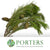 Pine 'Maritime' (Various Lengths)
