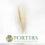 Grass 'Pampas' (Evita) (Bleached) (DRY) (Various Sizes)