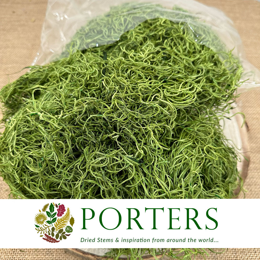 Moss &#39;Spanish Moss&#39; (DRY) (Various Colours)