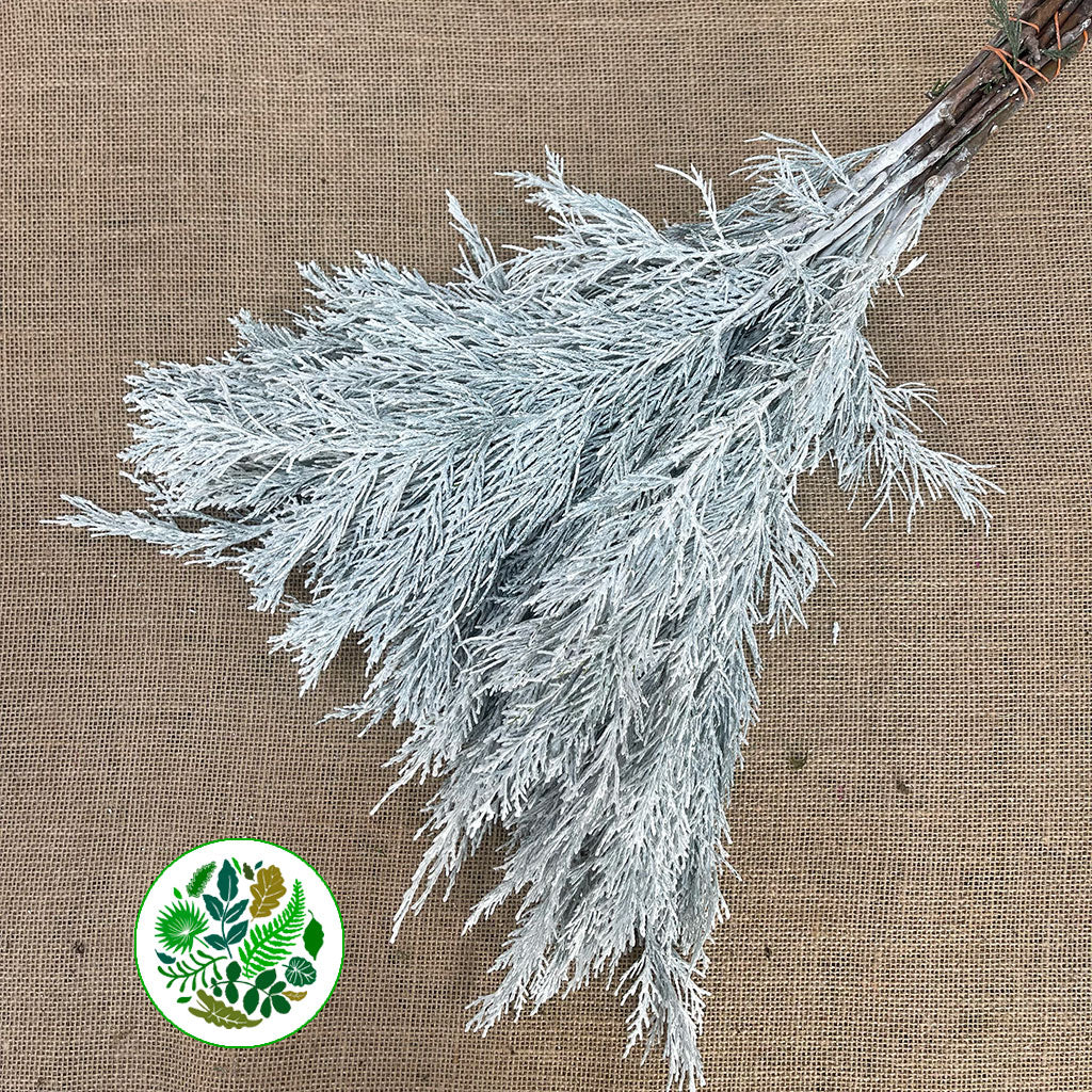 Conifer (Painted) (Various Colours)