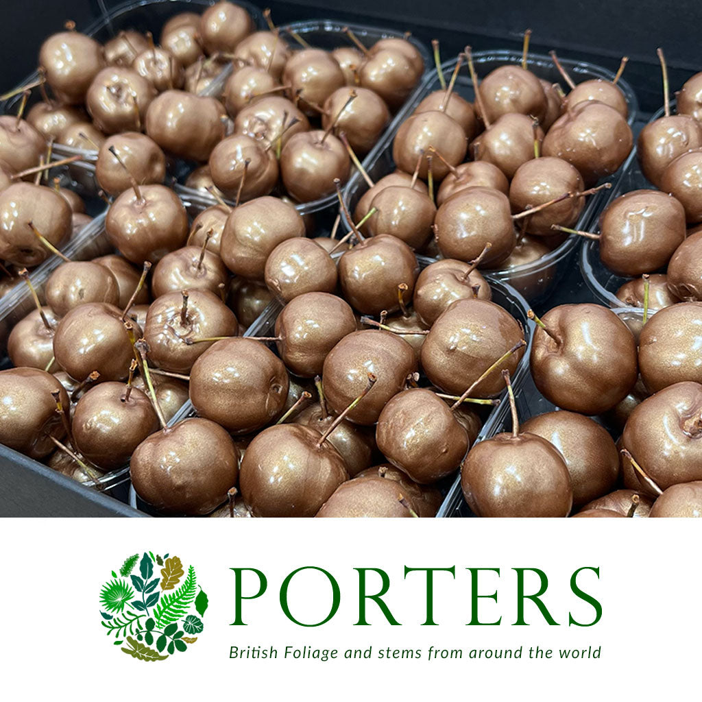 Waxed &#39;Crab Apples&#39; (Various Colours) (Small Tray)