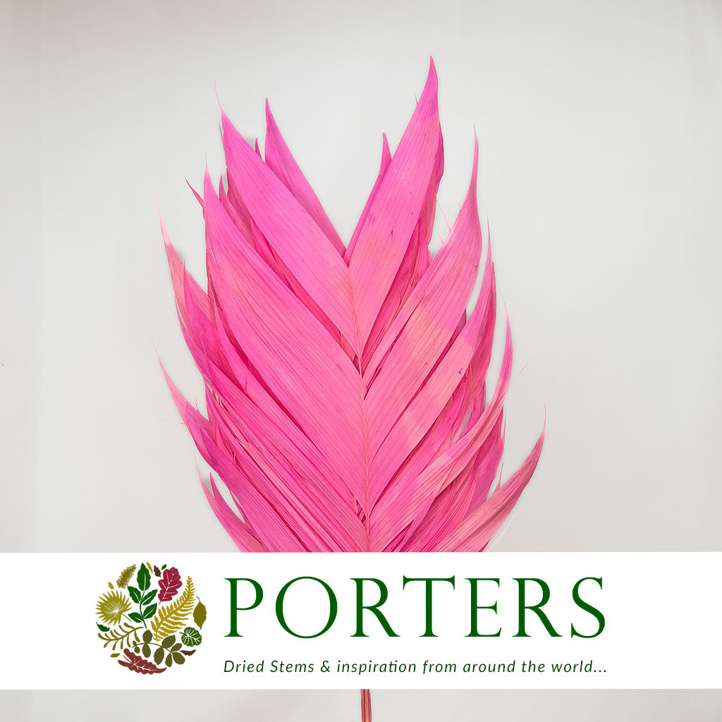 Aricana 'Leaves' (Various Colours) (DRY) 100cm (x10)