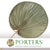 Palm 'Oval' (Natural) (DRY) (W46cm x H115cm) (Per stem)