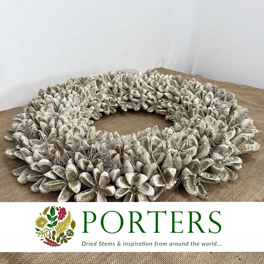 Wreath &#39;Kartoos&#39; (White Wash) (DRY) (Various Sizes)