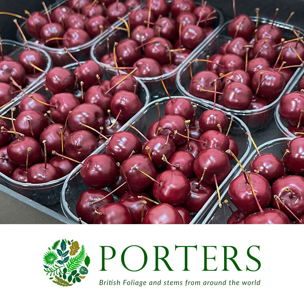 Waxed &#39;Crab Apples&#39; (Various Colours) (Small Tray)