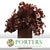 Beech 'Stabilized' (Coloured) 60-80cm (DRY) (150g)