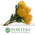 Pincushion Protea 'Jelena' (Various Lengths)