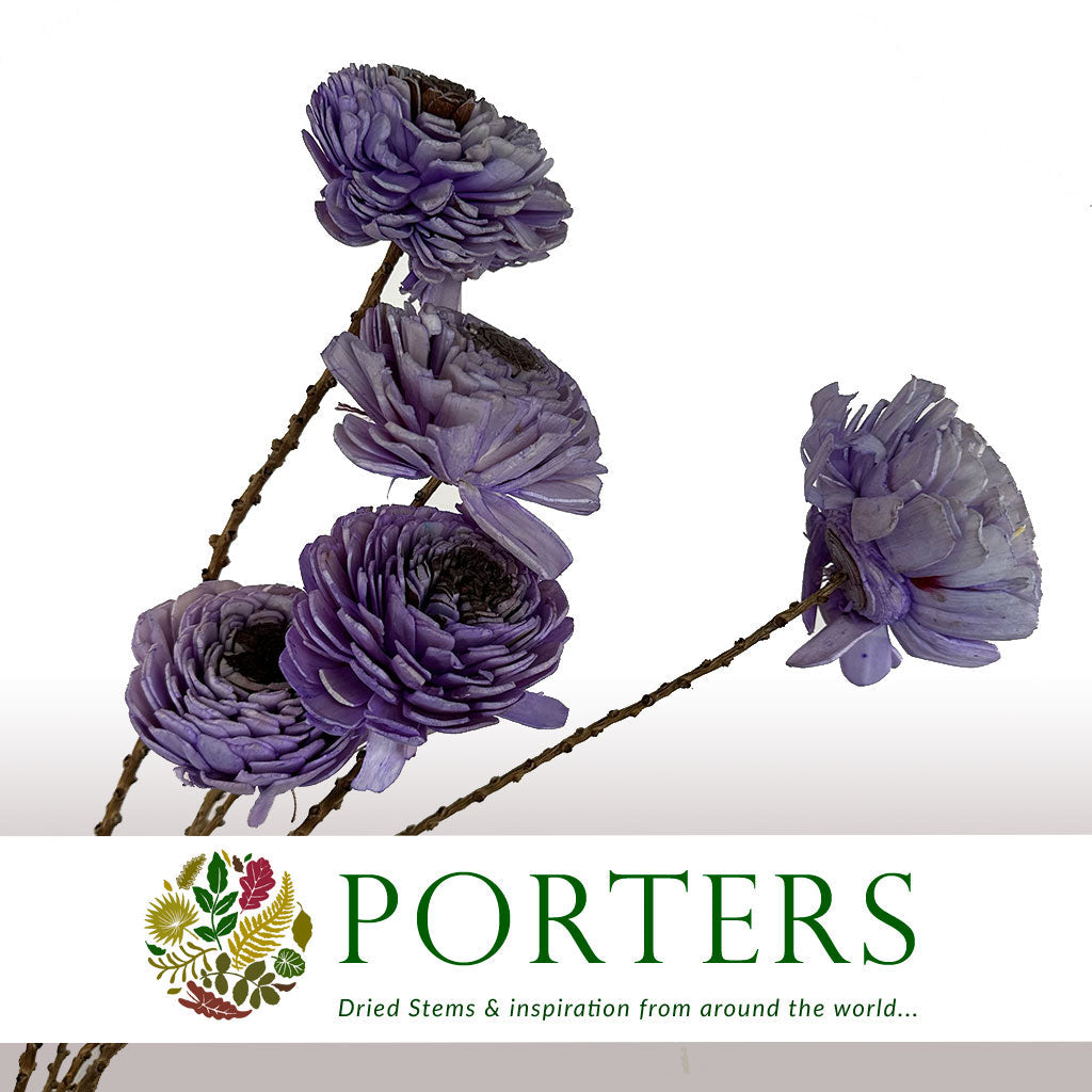 Shola (Man Made) &#39;Beauty Rose&#39; (Various Colours) (7pcs) 60cm
