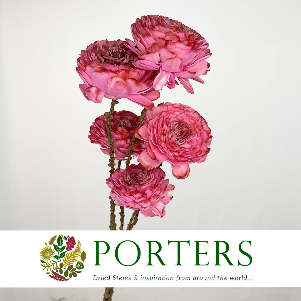 Shola (Man Made) &#39;Ranunculus&#39; (Various Colours) (7pcs) 60cm