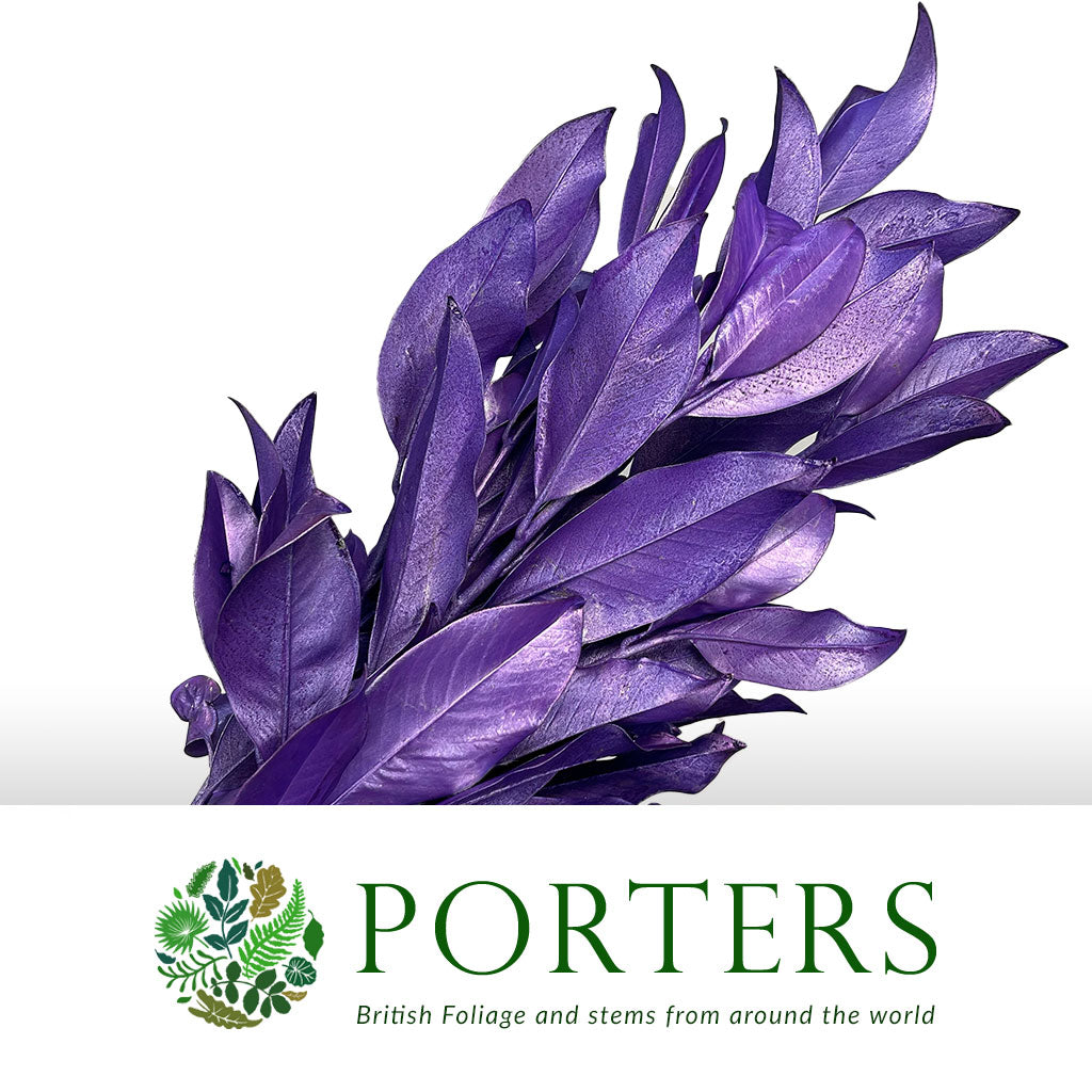 Magnolia &#39;Foliage&#39; (Painted Metallic) (Various Colours) 80cm (300g)