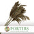 Grass 'Reed Grass' (Wild Plume) (Natural) (DRY) 90cm (x10)