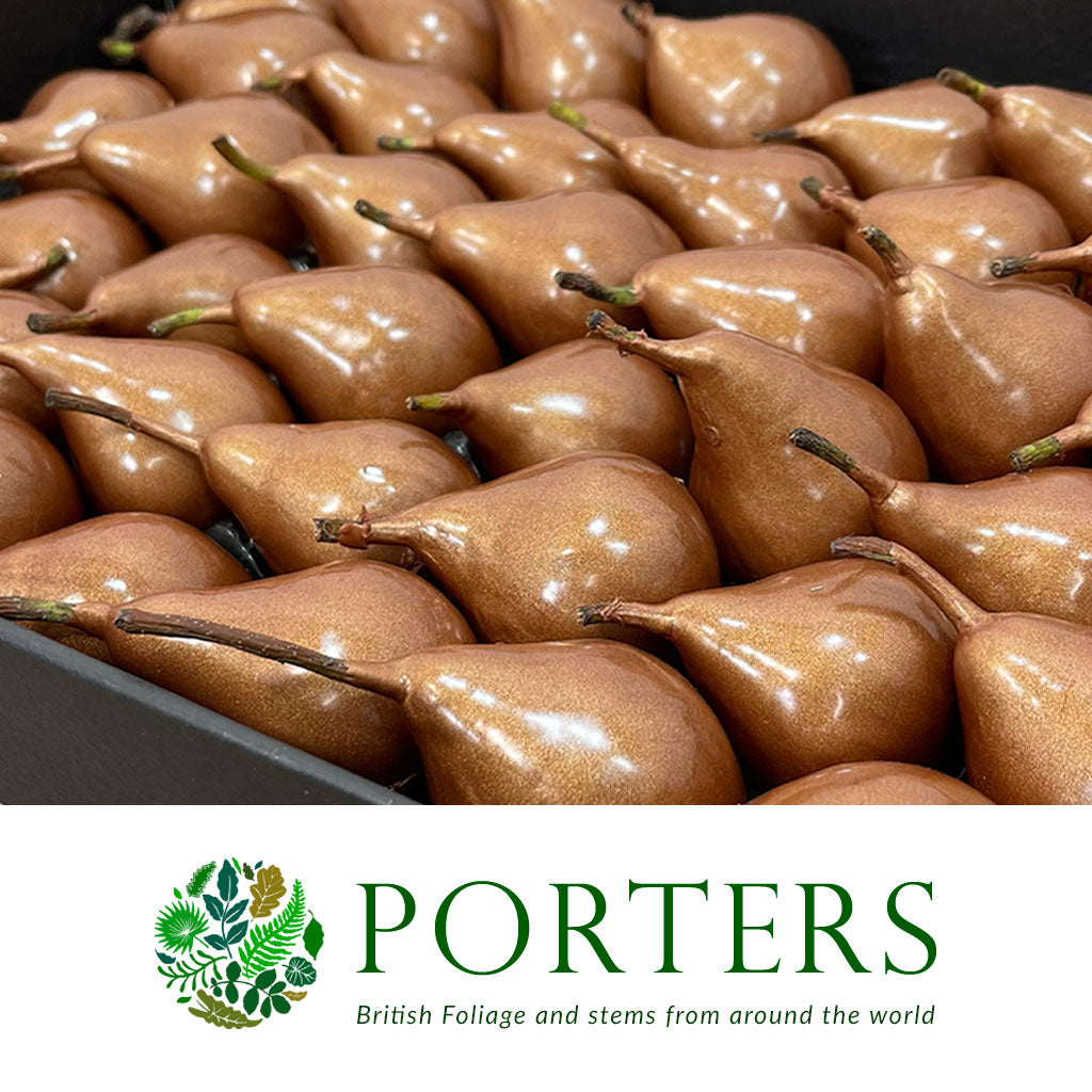 Waxed 'Pears' (Various Colours) 'With and Without Glitter' (x39)