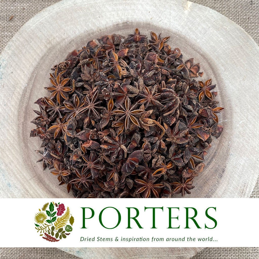 Herb &#39;Star Anise&#39; (DRY) (Various Sizes)