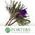 Protea 'Banksia' (Hookeri) (Purple) (Various Lengths)