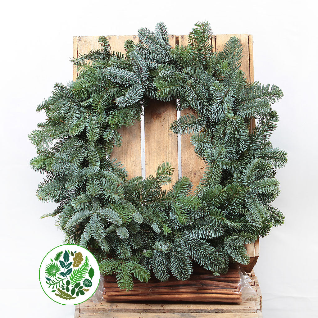 &#39;Blue Pine&#39; Wreaths (Various Sizes) (Metal Mossed Frames)