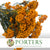 Rice Flower (Various Colours) (DRY) 70cm (100g)
