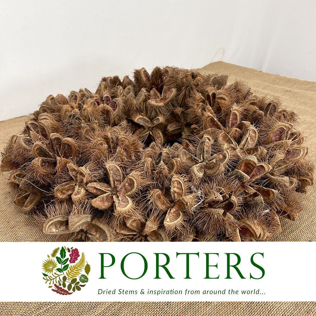 Wreath &#39;Kartoos&#39; (Natural) (DRY) (Various Sizes)