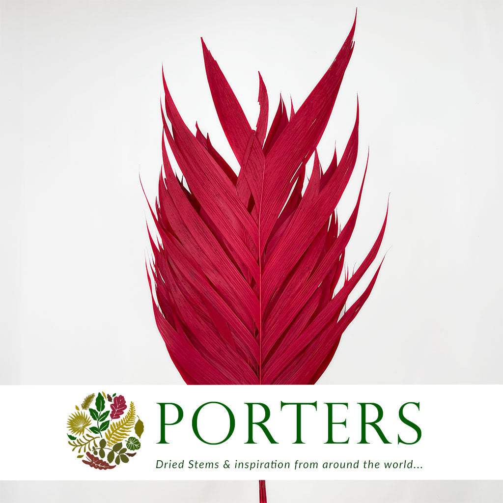 Aricana 'Leaves' (Various Colours) (DRY) 100cm (x10)