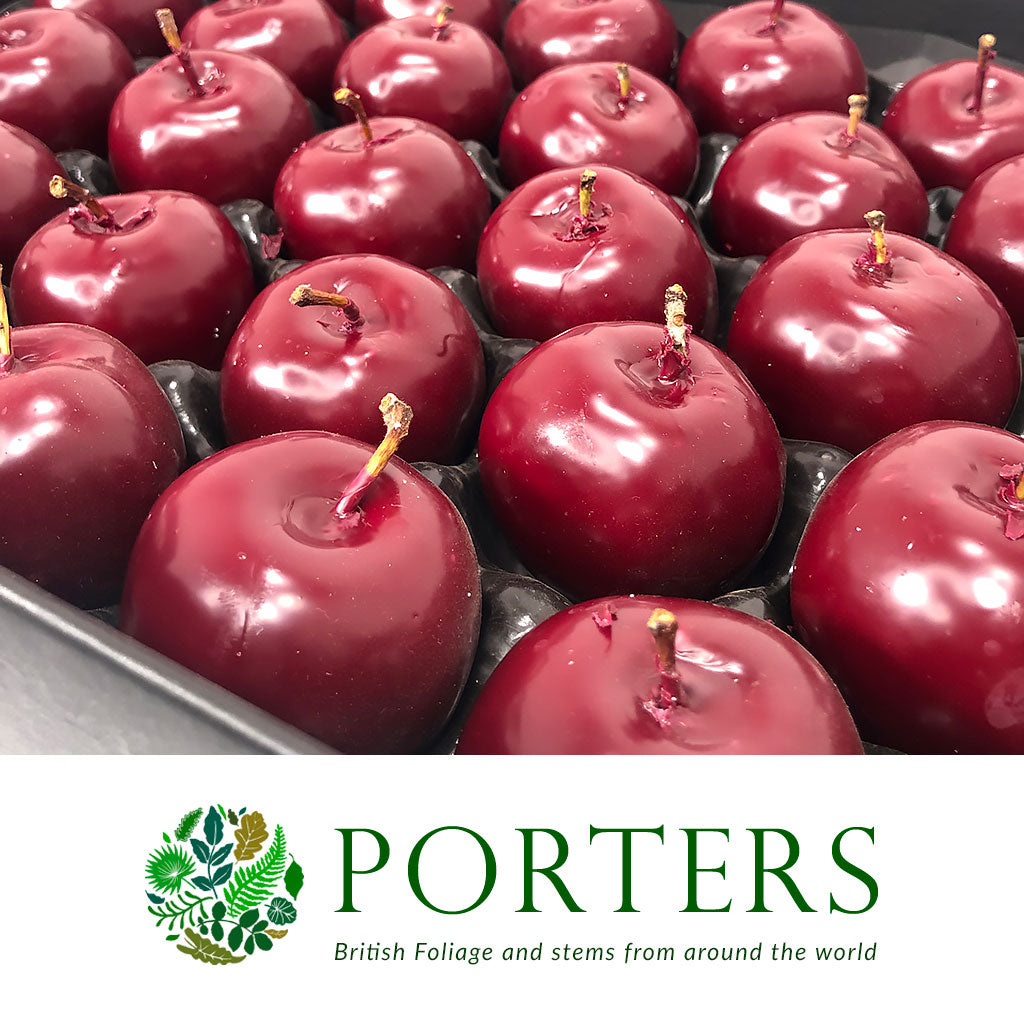 Waxed &#39;Apples&#39; (Various Colours) Tray (x30)