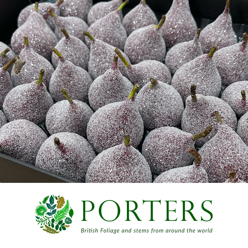 Waxed 'Pears' (Various Colours) 'With and Without Glitter' (x39)