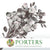 Eucalyptus 'Populus' (Preserved) (Painted) (DRY)