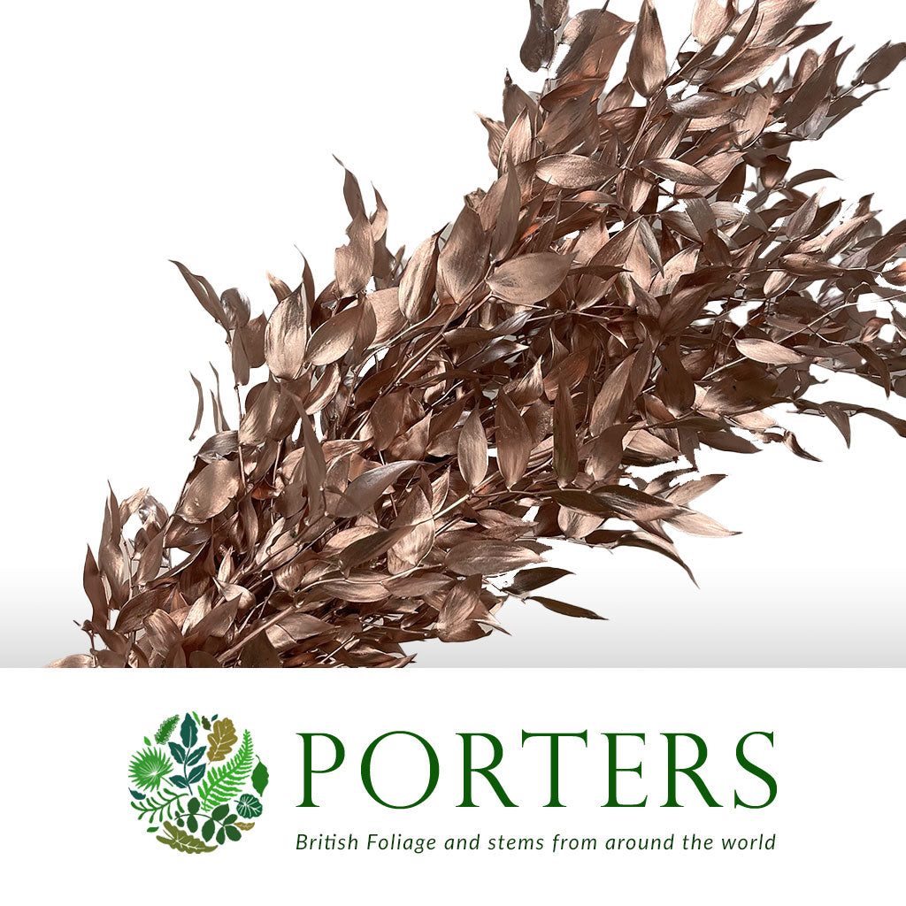 Ruscus &#39;Trailing&#39; Fresh (Painted Metallic Colours) (Various)