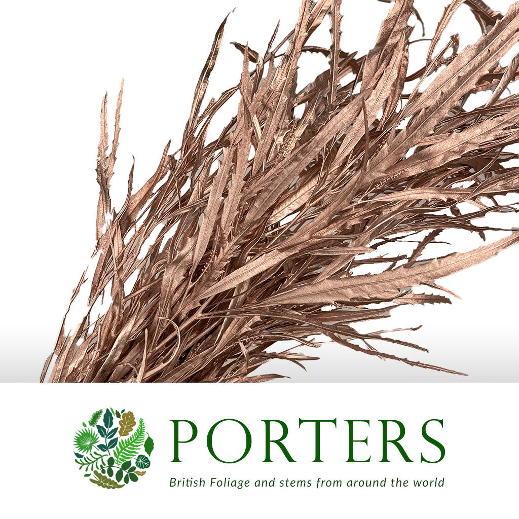 Grevillea 'Foliage' (Painted Metalic) (Various Colours) 80cm