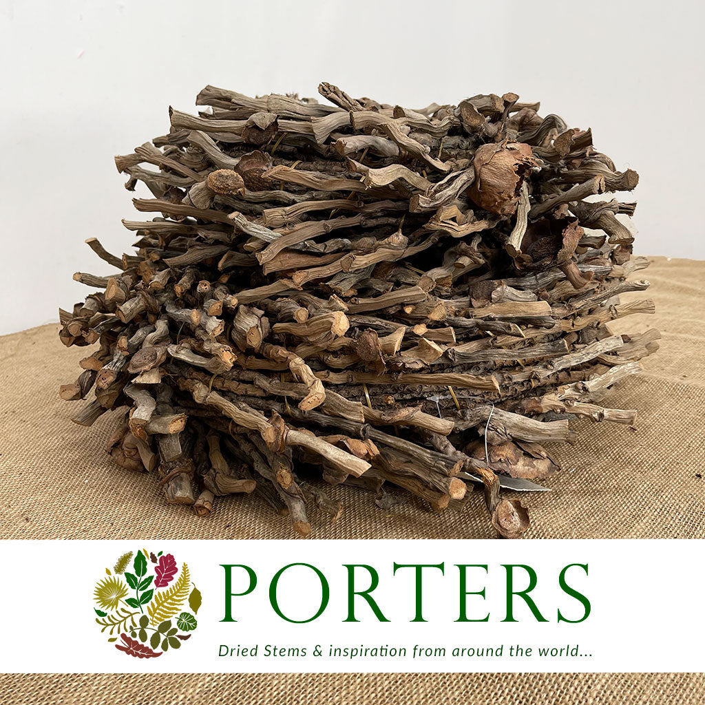 Wreath &#39;Botay&#39; (Natural) (DRY) (Various Sizes)