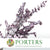 Eucalyptus 'Stuartiana' (Stabilised) (Painted) (DRY) (Various Colours)