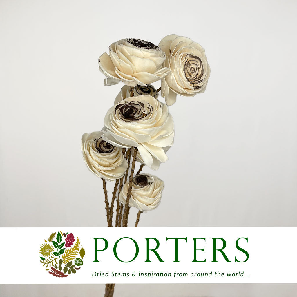 Shola (Man Made) &#39;Ranunculus&#39; (Various Colours) (7pcs) 60cm