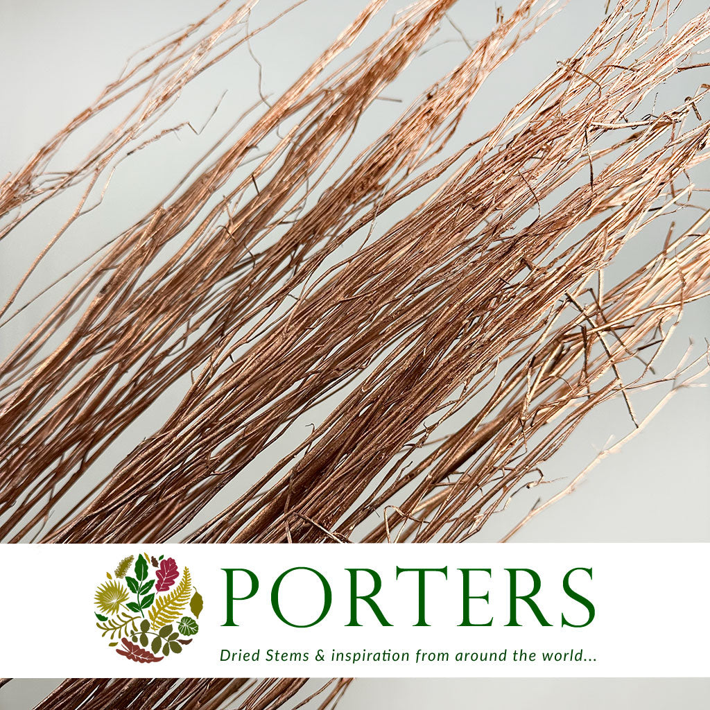 Twigs &#39;White Lady&#39; (Painted) (DRY) (Various Colours) 120cm (250g)