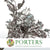 Ivy 'Foliage' (Preserved & Painted) (DRY) (Various Colours)