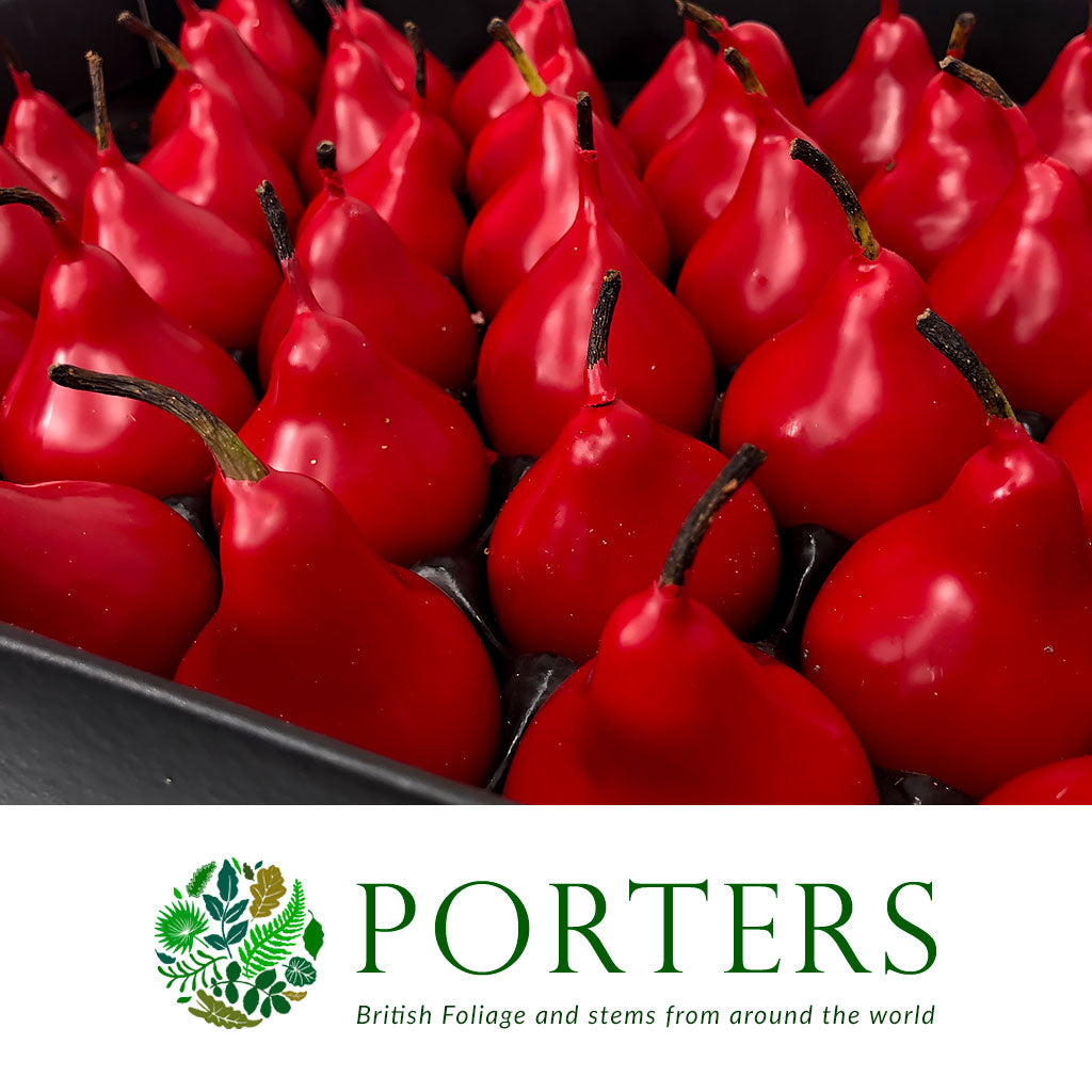 Waxed 'Pears' (Various Colours) (x39)