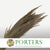 Grass 'Chinese Broom' (DRY) (110cm)