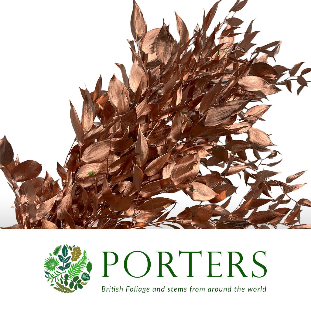 Ruscus &#39;Trailing&#39; Fresh (Painted Metallic Colours) (Various)