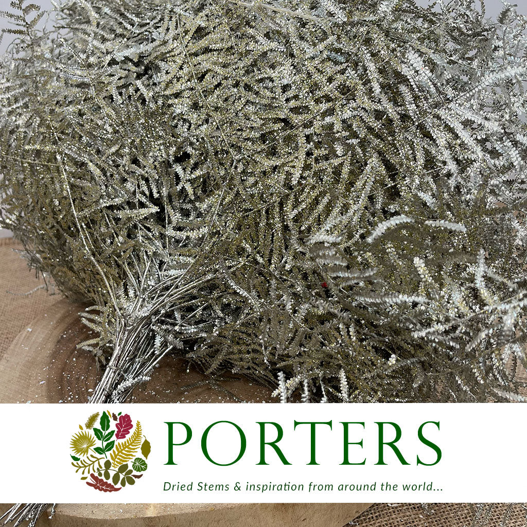 Fern 'Coral Fern' (Painted or Glittered) (x10)