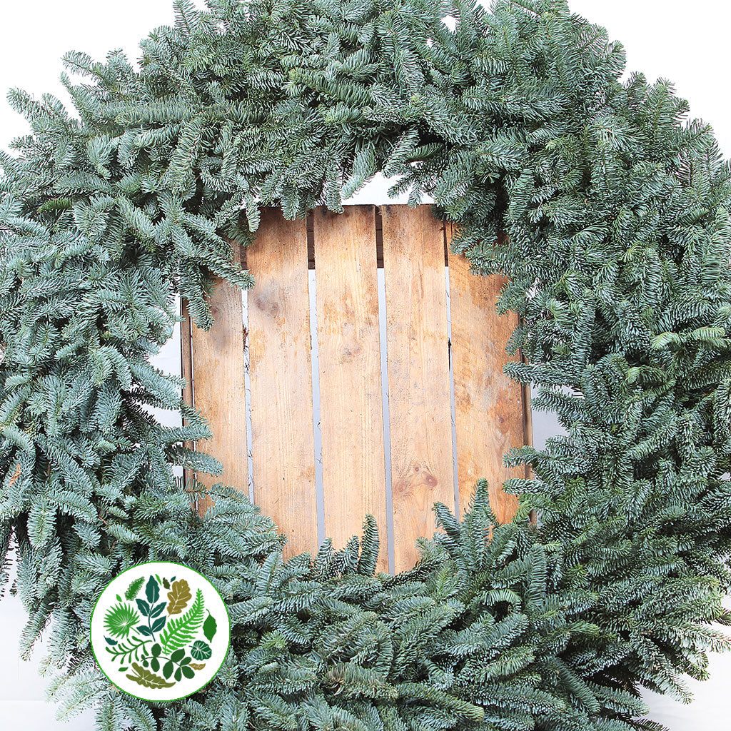 &#39;Blue Pine&#39; Wreaths (Various Sizes) (Metal Mossed Frames)