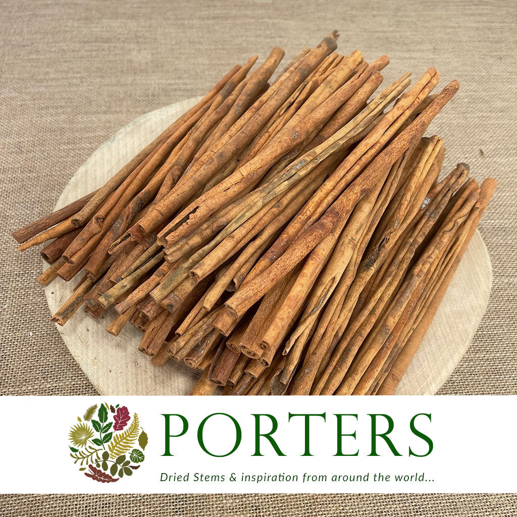 Cinnamon (DRY) (Various Sizes)