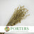 Poppy 'Heads' (Painted) (Small) (DRY) (Various Colours)