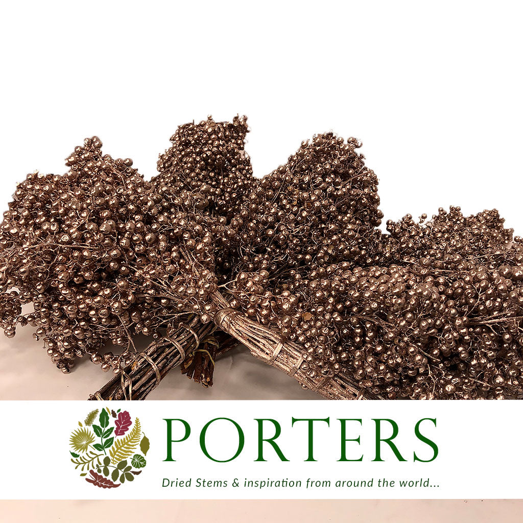 Schinus Molle Fruit (Painted) (DRY) (Various Colours)