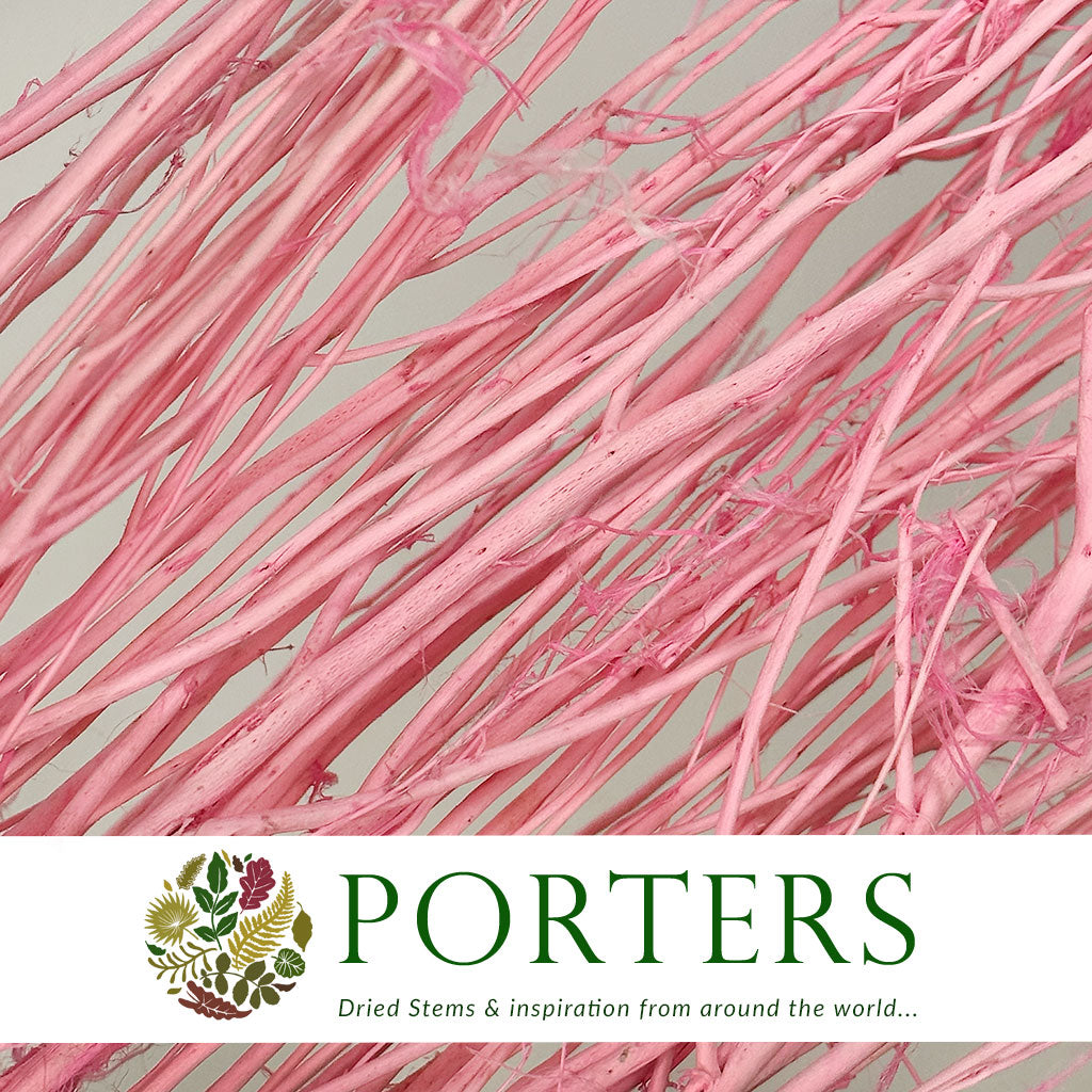 Twigs &#39;White Lady&#39; (Painted) (DRY) (Various Colours) 120cm (250g)