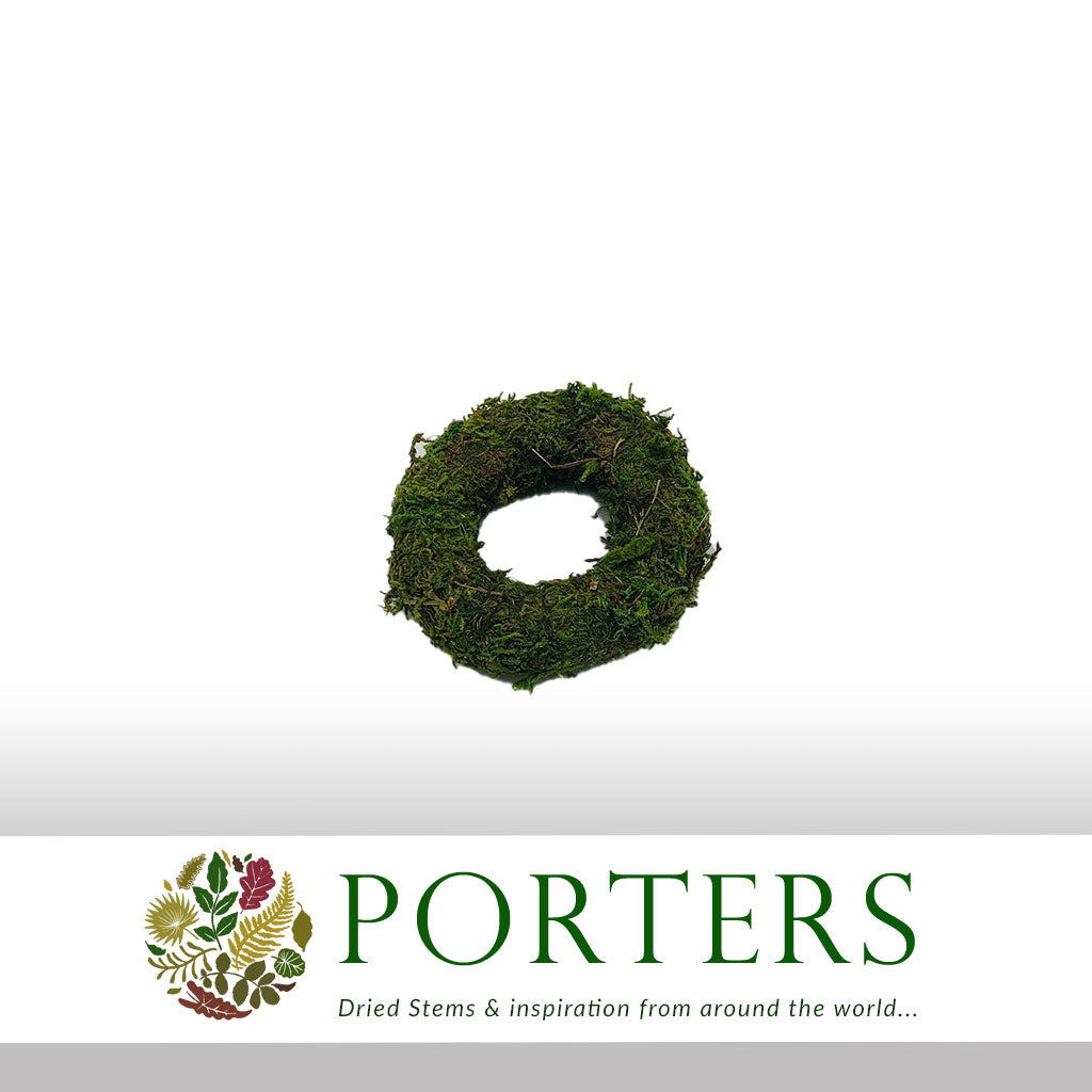 Wreath &#39;Moss&#39; (Thin) (DRY) (Various Sizes)