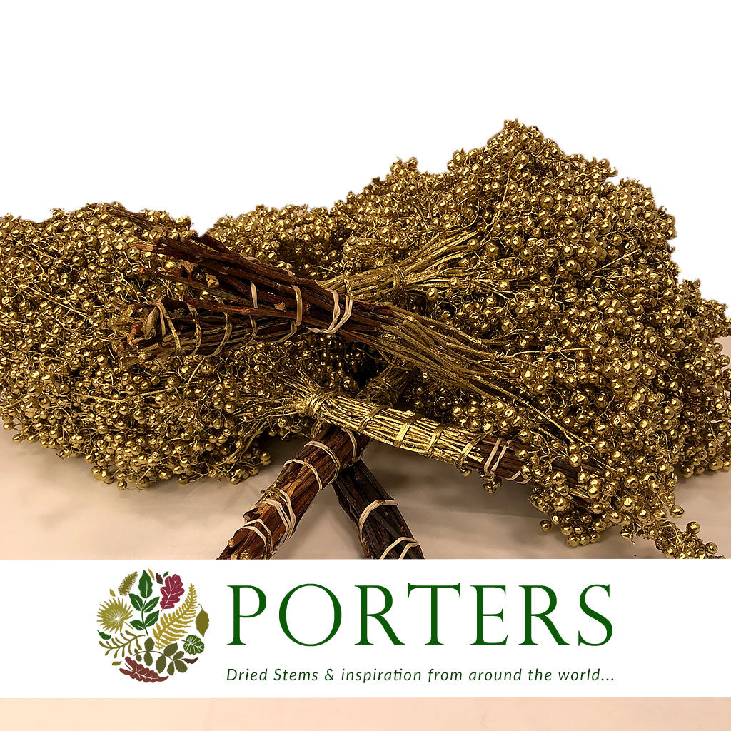 Schinus Molle Fruit (Painted) (DRY) (Various Colours)