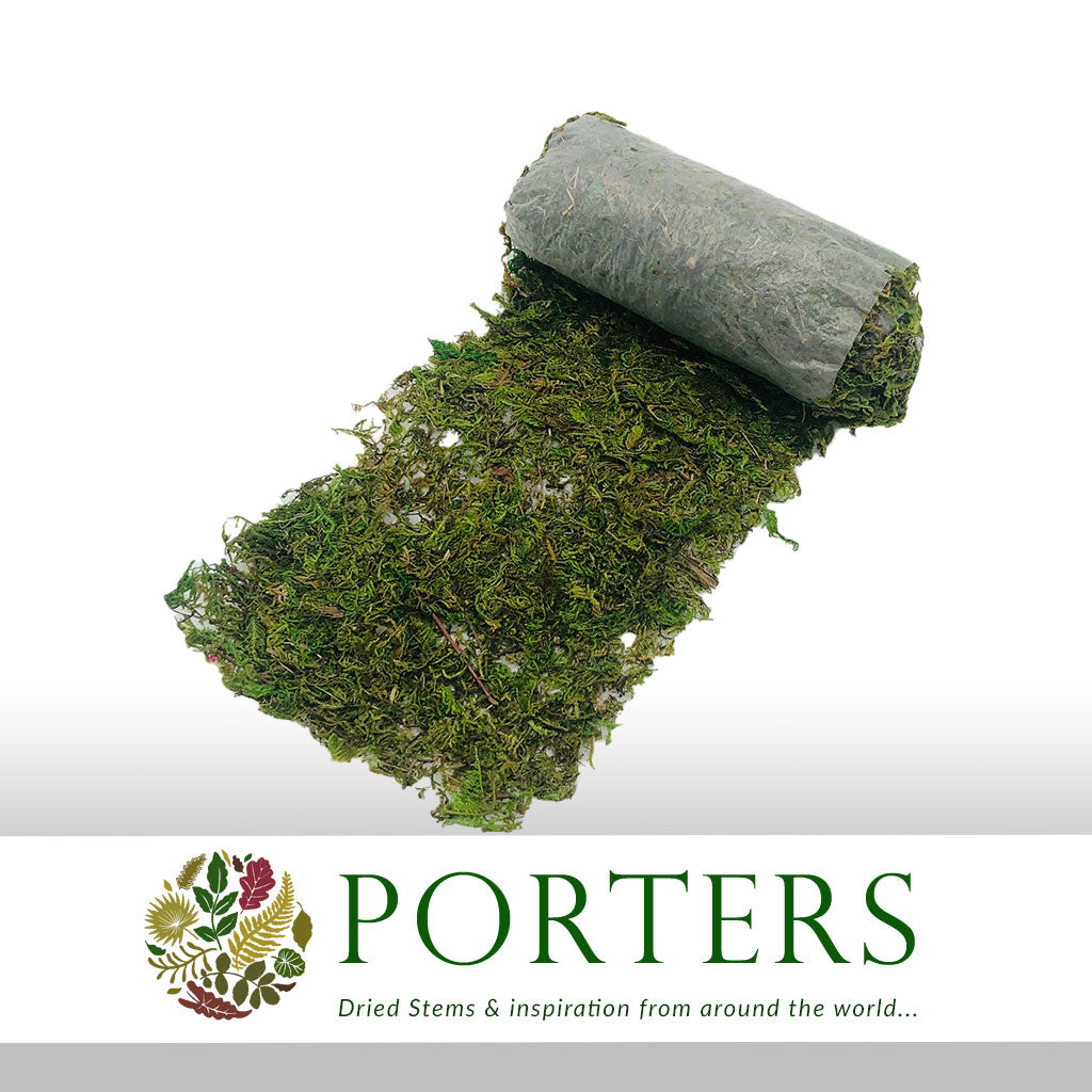 Moss &#39;Sheet&#39; (Asia Moss) (DRY) (Various Sizes)